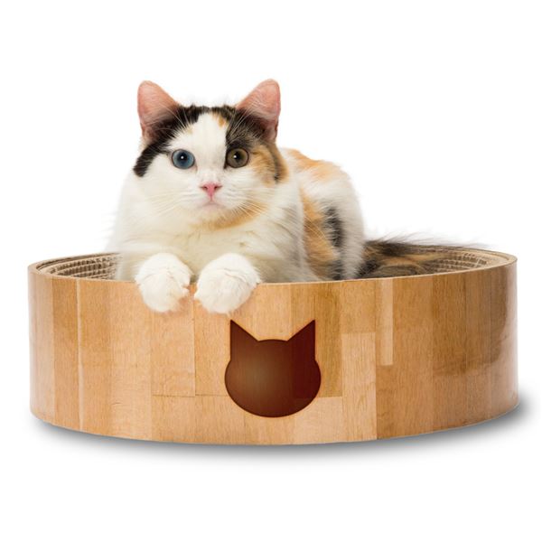 直送・代引不可 （まとめ）猫壱 バリバリボウル 猫柄（ペット用品）【×5セット】 別商品の同時注文不可