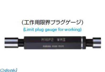 黒田精工 KURODA GP2XWP2 10-1.25 メートルネジプラグゲージ GP2XWP2101.25｜測定器・工具のイーデンキ
