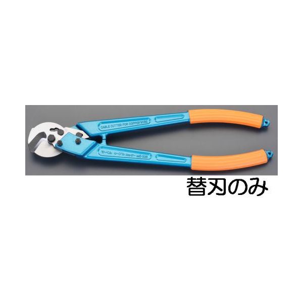 【特集】雨季打つ手グッズ