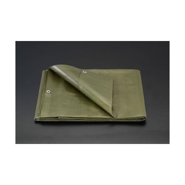 (LINEクーポン有)【即納在庫品】「直送」【個人宅配送不可】 エスコ EA915BB-33 直送 代引不可・他メーカー同梱不可 5．4ｘ7．2ｍ ＯＤｇｒｅｅｎ色 シート EA915BB33【キャンセル不可】