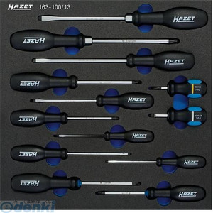 (LINEクーポン有)【納期-通常7日以内に発送 在庫切れ時-約2ヶ月 】ハゼット HAZET 163-100/13 ソフトフォーム２コンポーネント工具セット 163100/13