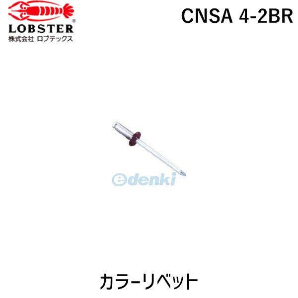 (LINEクーポン有)ロブテックス LOBSTER CNSA 4-2BR カラーリベット CNSA42BR ブロンズ エビ カラーブラインドリベット Lobtex