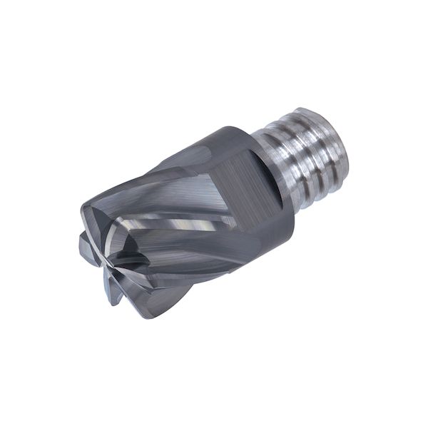 【特集】雨季打つ手グッズ