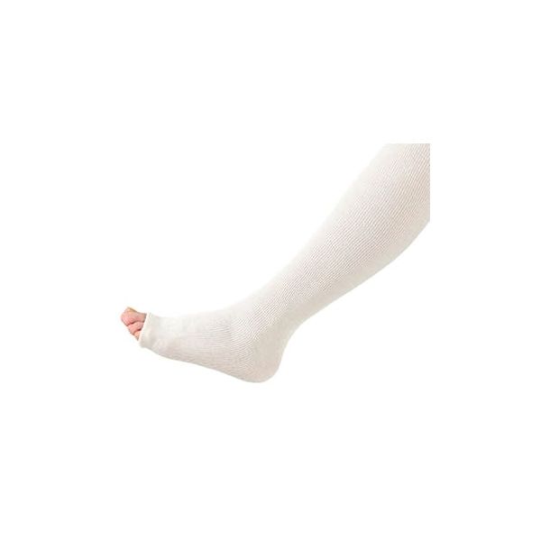 【特集】雨季打つ手グッズ