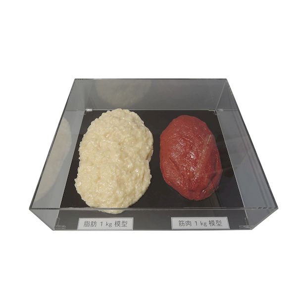 【特集】雨季打つ手グッズ