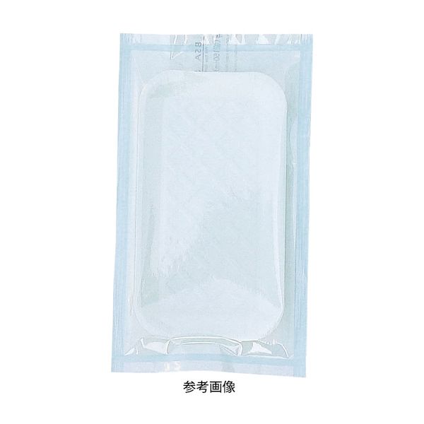 (LINEクーポン有)【個数：4個】4560230394172 【4個入】 直送 代引不可・他メーカー同梱不可 ビーエスエー・サクライ ステラパック ロールパウチ 5544 LL 150MMX200M