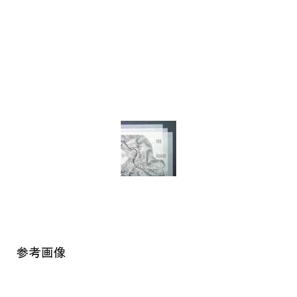 (LINEクーポン有)桜井 LPEX01 オリカLPEX A1 100枚