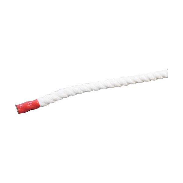 グリーンクロス 6300023904 クレモナSロープ 50m巻 10mm