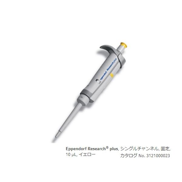 【特集】雨季打つ手グッズ