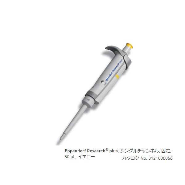 【特集】雨季打つ手グッズ