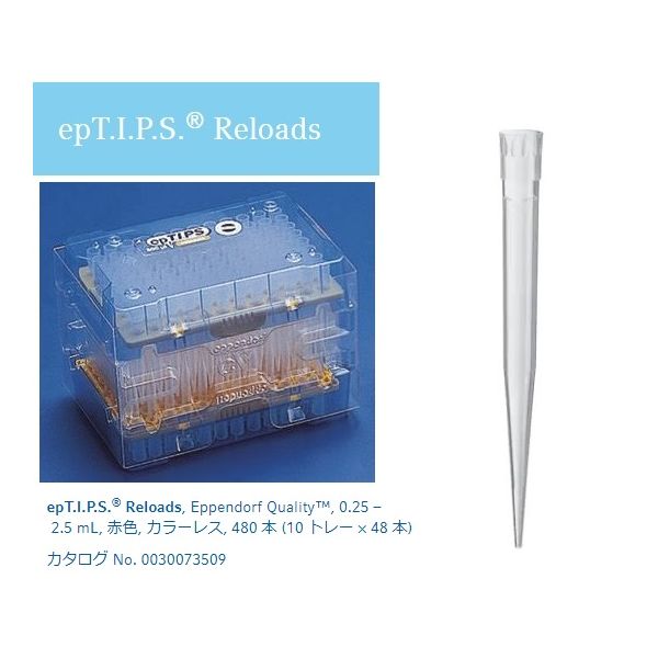 (LINEクーポン有)2-4875-17 epTIPSリロー0030073517 2487517|測定器・工具のイーデンキ