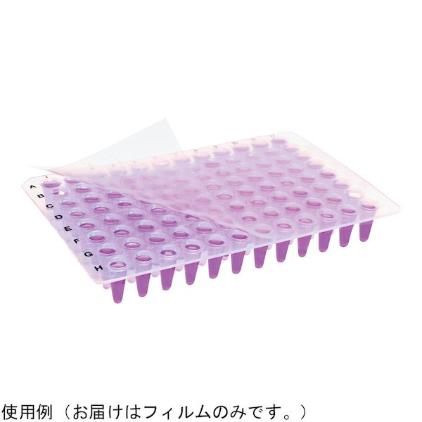 【特集】雨季打つ手グッズ