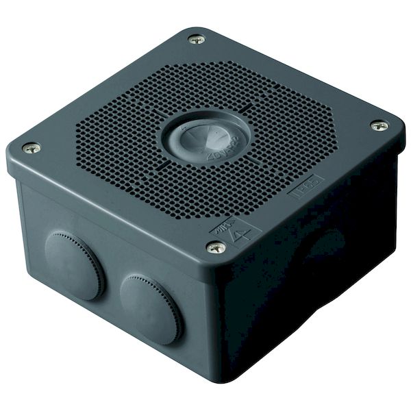 BLACK DESIGN BXプレート 未使用 BLACK DESIGN ブラックデザイン BX-PLATE BXプレート