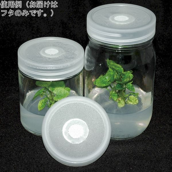 4-4848-05 植物培養容器 C170－25EA 25個入 4484805