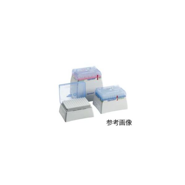 【特集】雨季打つ手グッズ