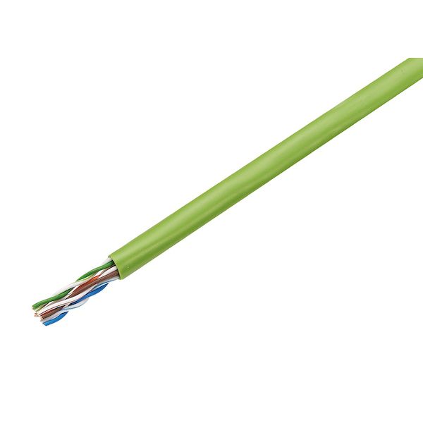 翌日出荷 JAPPY ジャッピー TPCC5 0.5MM X 4P ﾜｶｸｻ JP 【300個入】 Cat5e LANケーブル TPCC50.5MMX4PﾜｶｸｻJP