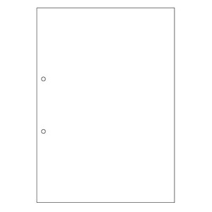 (LINEクーポン有)ヒサゴ FSC2001Z A4白紙2穴 大入 マルチプリンタ帳票 FSC認証 HISAGO|測定器・工具のイーデンキ