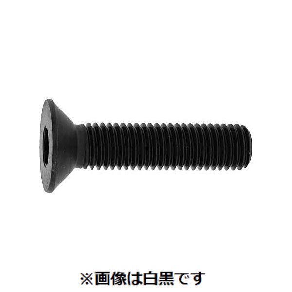 (LINEクーポン有)【個人宅配送不可】【個数:20個】SUNCO 4548325061994 【20個入】 直送 代引不可・他メーカー同梱不可 SUSサラCAP 日星 全ネジ 14X80X80|測定器・工具のイーデンキ