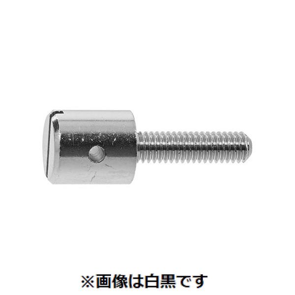 【特集】雨季打つ手グッズ