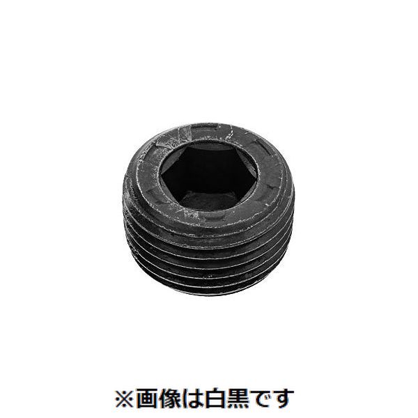 【特集】雨季打つ手グッズ