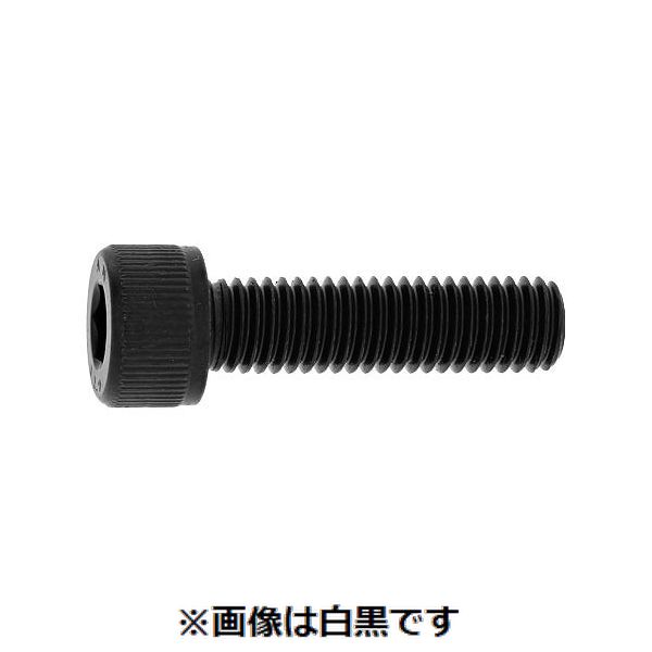 新着商品目録ペイジ