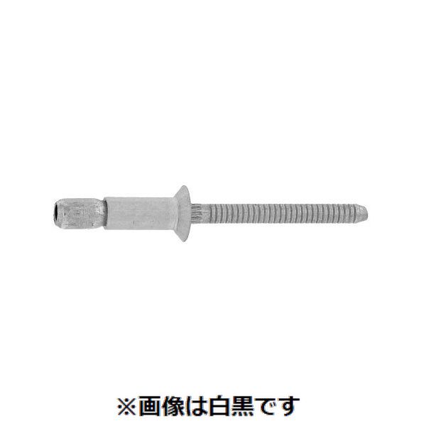 【特集】雨季打つ手グッズ