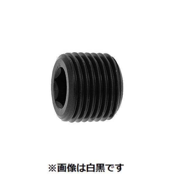 (LINEクーポン有)【個人宅配送不可】ＳＵＮＣＯ 4548325501773 【200個入】直送 代引不可・他メーカー同梱不可 プラグ 浮き カクマル PT 1／4