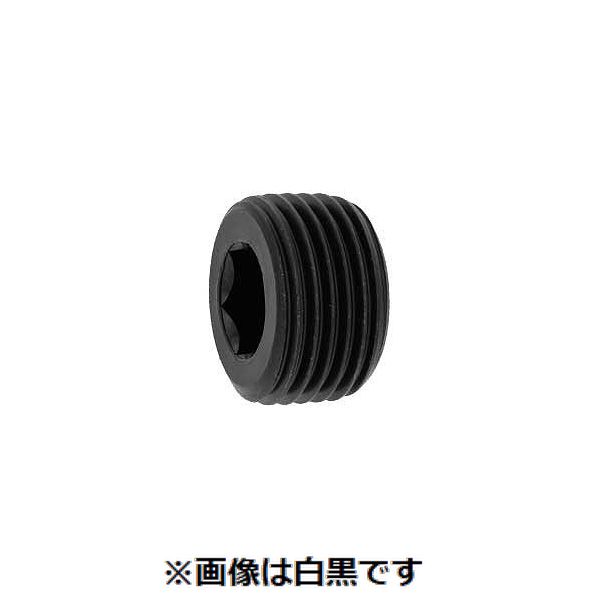 【特集】雨季打つ手グッズ