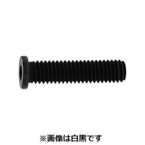 新着商品目録ペイジ