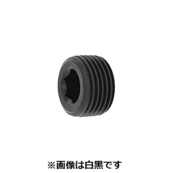 (LINEクーポン有)【個人宅配送不可】【個数：500個】ＳＵＮＣＯ 4548325580297 【500個入】 直送 代引不可・他メーカー同梱不可 プラグNB 強力沈み PT 1／8 8,238円