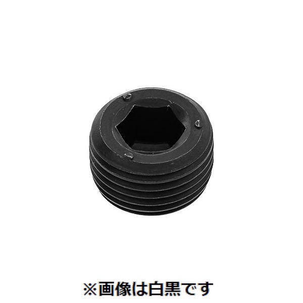 【特集】雨季打つ手グッズ