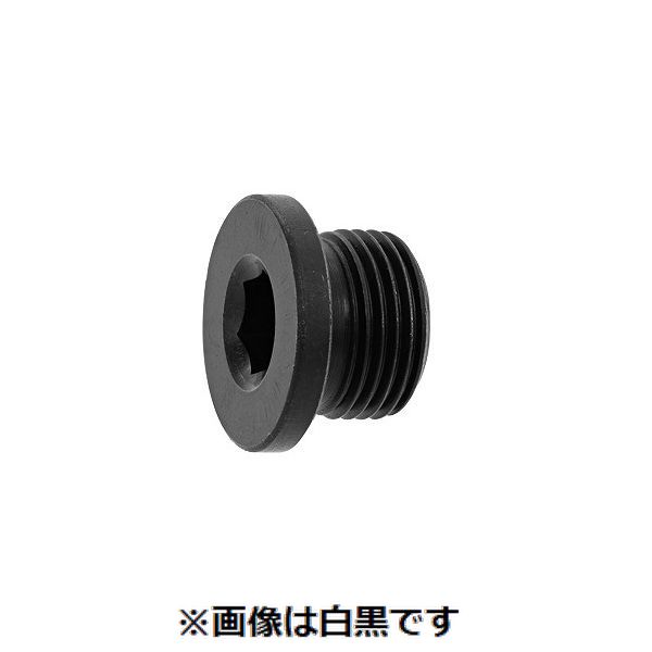 (LINEクーポン有)【個人宅配送不可】【個数：100個】ＳＵＮＣＯ 4548325580440 【100個入】 直送 代引不可・他メーカー同梱不可 NSフランジプラグ G 3／8