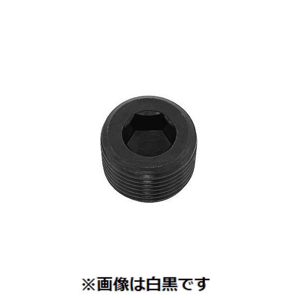(LINEクーポン有)【個人宅配送不可】【個数：700個】ＳＵＮＣＯ 4548325595765 【700個入】 直送 代引不可・他メーカー同梱不可 黒染 阪村 プラグ 沈み SP2 R1／8&minus;28｜測定器・工具のイーデンキ