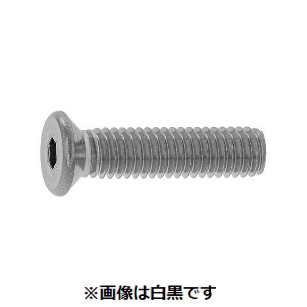 (LINEクーポン有)【個人宅配送不可】【個数:500個】SUNCO 4548325735857 【500個入】 直送 代引不可・他メーカー同梱不可 SUSサラCAP D8 小頭 5 X 25|測定器・工具のイーデンキ