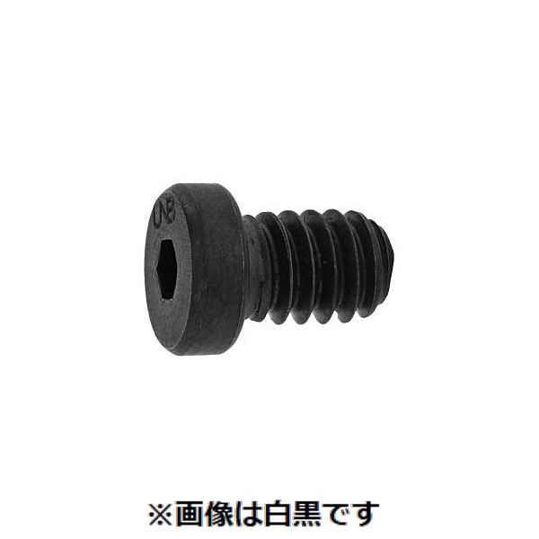 (LINEクーポン有)【個人宅配送不可】【個数：100個】ＳＵＮＣＯ 4548325758436 【100個入】 直送 代引不可・他メーカー同梱不可 ローヘッドCAP UNCアンブラコ 1／4－20X3／8
