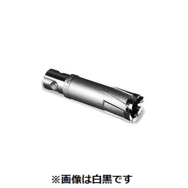 新着商品目録ペイジ