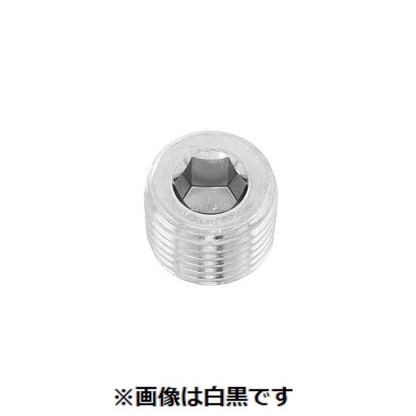 (LINEクーポン有)【個人宅配送不可】【個数：125個】ＳＵＮＣＯ 4548833000263 【125個入】 直送 代引不可・他メーカー同梱不可 三価ホワイト 阪村 プラグ 沈み R3／4－14