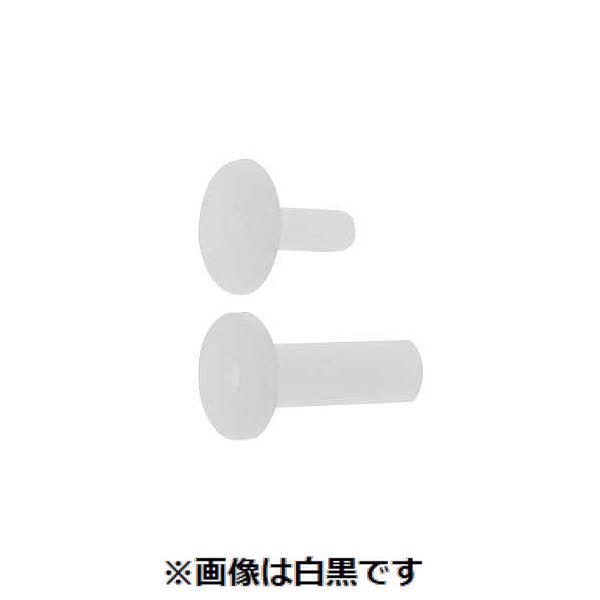 【特集】雨季打つ手グッズ