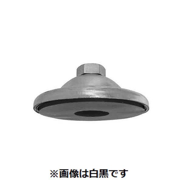 【特集】雨季打つ手グッズ