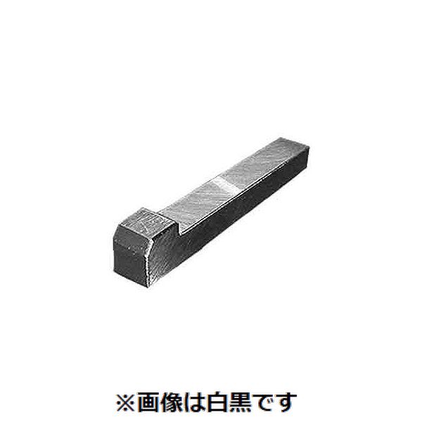 【特集】雨季打つ手グッズ