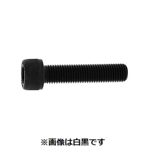 (LINEクーポン有)【個人宅配送不可】【個数:100個】SUNCO 4548833857188 【100個入】 直送 代引不可・他メーカー同梱不可 ステンCAP 全ねじ 細目P0.5 5 X 40|測定器・工具のイーデンキ