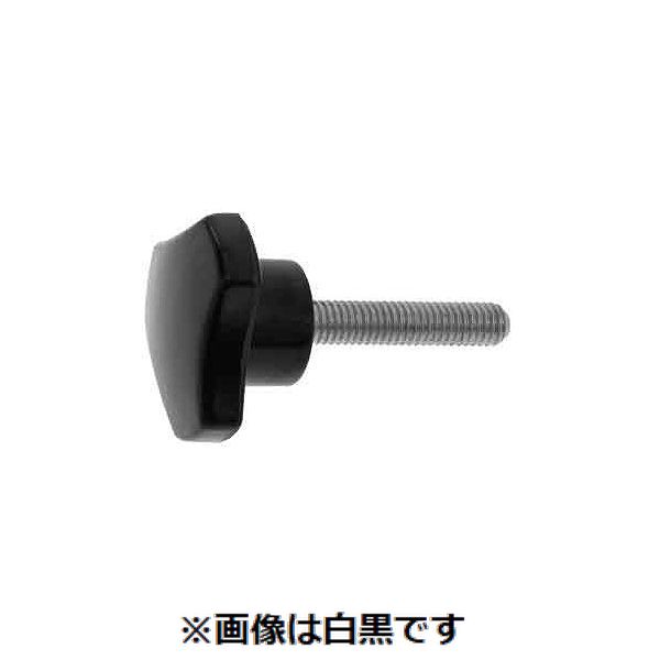 (LINEクーポン有)【個人宅配送不可】【個数：40個】ＳＵＮＣＯ 4549388361861 【40個入】 直送 代引不可・他メーカー同梱不可 SUSノブボルト 黒 NO．2 6 X 12