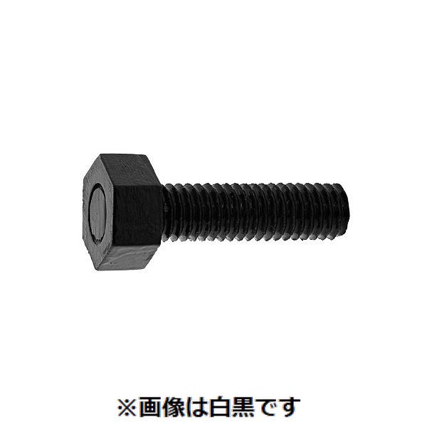 新着商品目録ペイジ