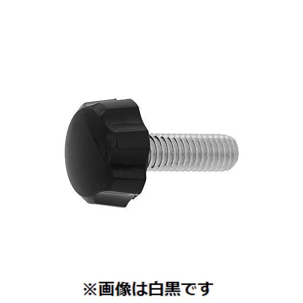 (LINEクーポン有)【個人宅配送不可】【個数：300個】ＳＵＮＣＯ 4549388838943 【300個入】 直送 代引不可・他メーカー同梱不可 三価ホワイト 花ボルト黒 NO．3 5 X 9