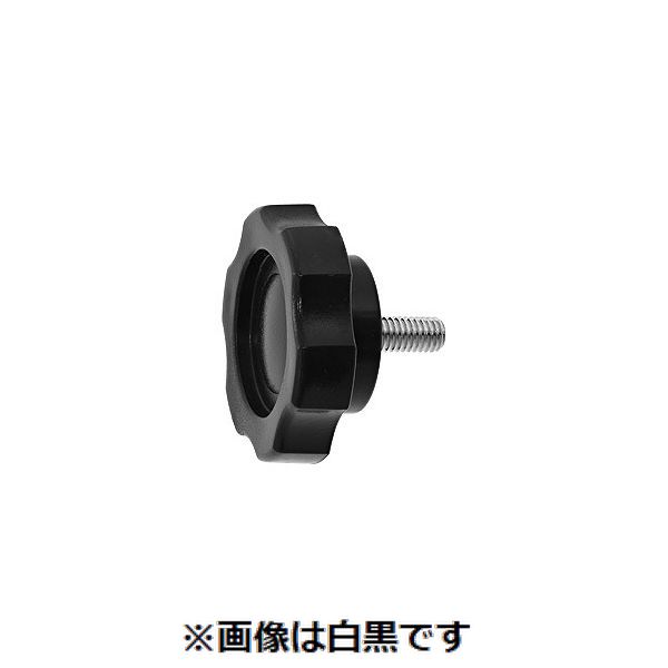 (LINEクーポン有)【個人宅配送不可】【個数：100個】ＳＵＮＣＯ 4549388868544 【100個入】 直送 代引不可・他メーカー同梱不可 三価ホワイト グリップボルト G2 8 X 50