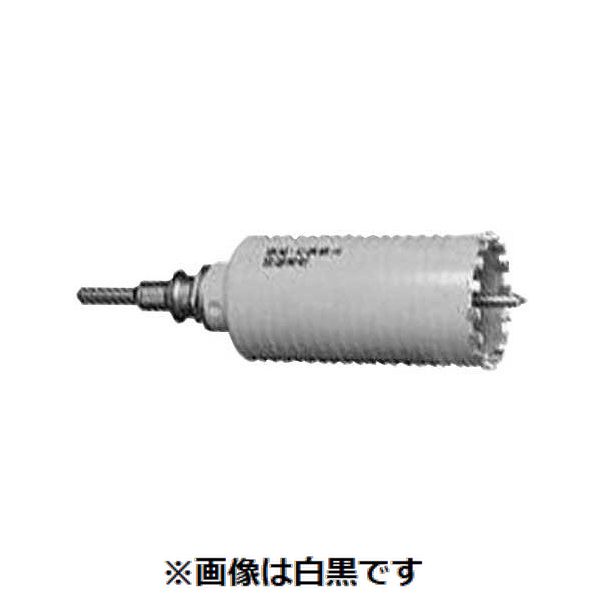 (LINEクーポン有)【個人宅配送不可】【個数：1個】ＳＵＮＣＯ 4549388920945 直送 代引不可・他メーカー同梱不可 ブロック用DCD セット SDS PCB55R 20,702円