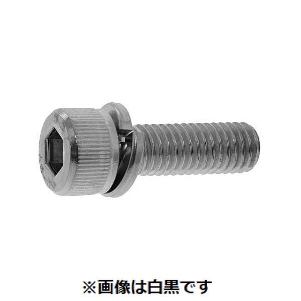 (LINEクーポン有)【個人宅配送不可】【個数：100個】ＳＵＮＣＯ 4549638344675 【100個入】 直送 代引不可・他メーカー同梱不可 ステンCAP P＝2 日本鋲螺製 10 X 20