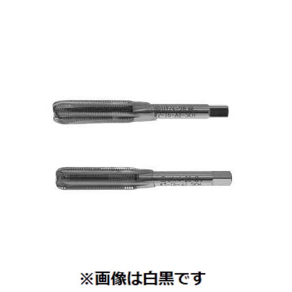 【特集】雨季打つ手グッズ