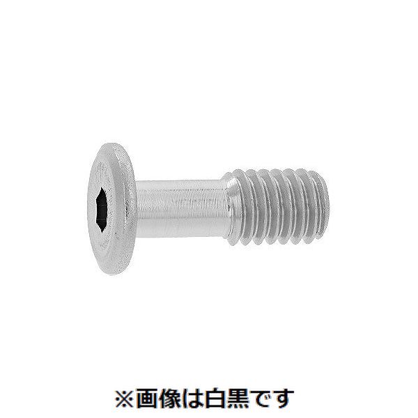 新着商品目録ペイジ