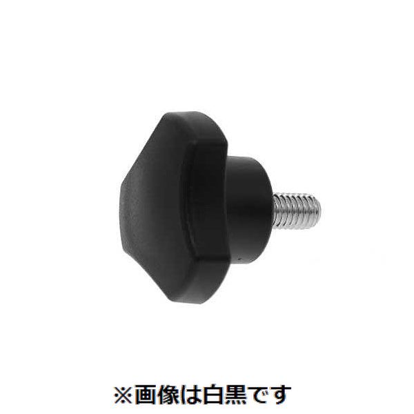 (LINEクーポン有)【個人宅配送不可】【個数：110個】ＳＵＮＣＯ 4549638574232 【110個入】 直送 代引不可・他メーカー同梱不可 三価ホワイト グリップボルト S2 6 X 10